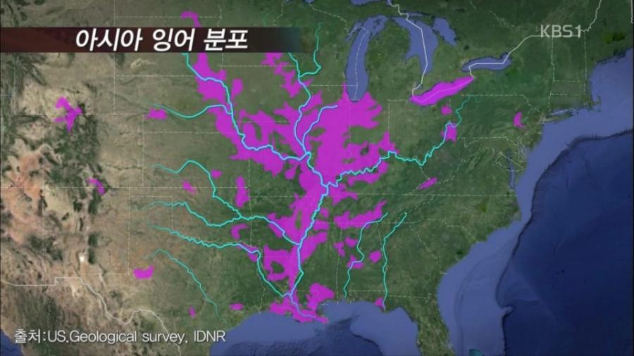 미국 전역을 장악한 아시아잉어의 역습.jpg | 인스티즈