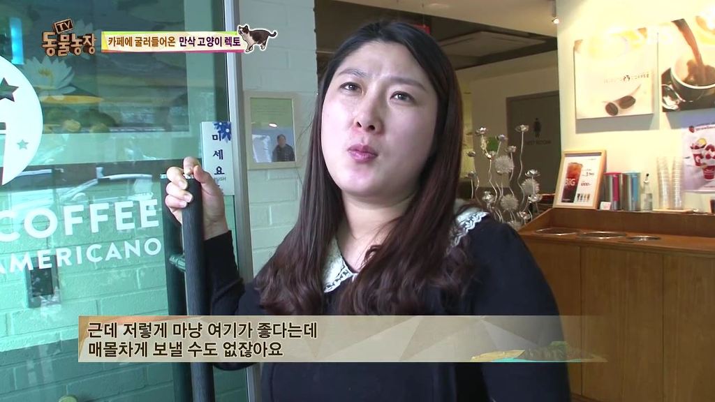 동물농장 [카페에굴러들어온고양이렉토] | 인스티즈