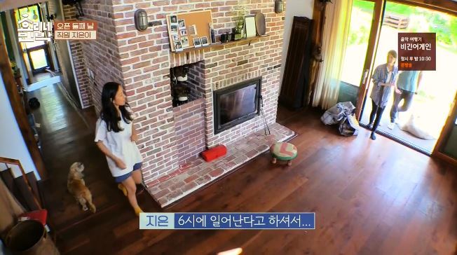 효리상순부부 압박면접에 멘탈나간 아이유 ㅋㅋㅋㅋㅋㅋㅋㅋㅋ.jpg | 인스티즈