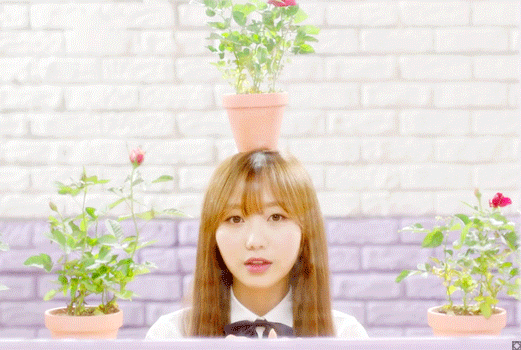 러블리즈 에이스 케이 VS 류수정 | 인스티즈