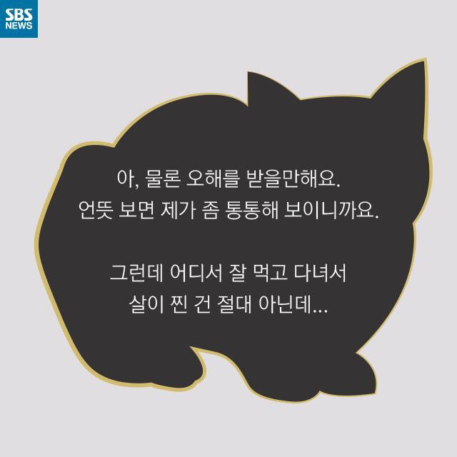 길고양이가 뚱뚱한 이유 | 인스티즈