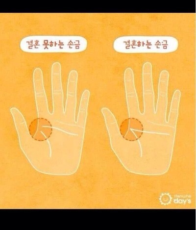 결혼하는 손금 vs 못하는 손금 | 인스티즈