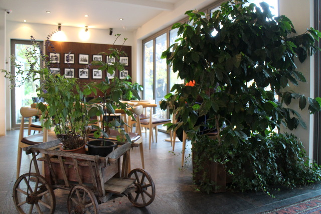 카페8(Cafe 8) 이미지