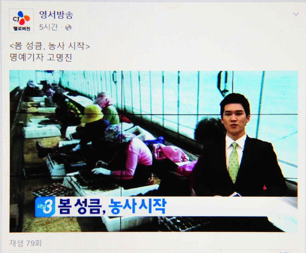 헬로비젼 이미지