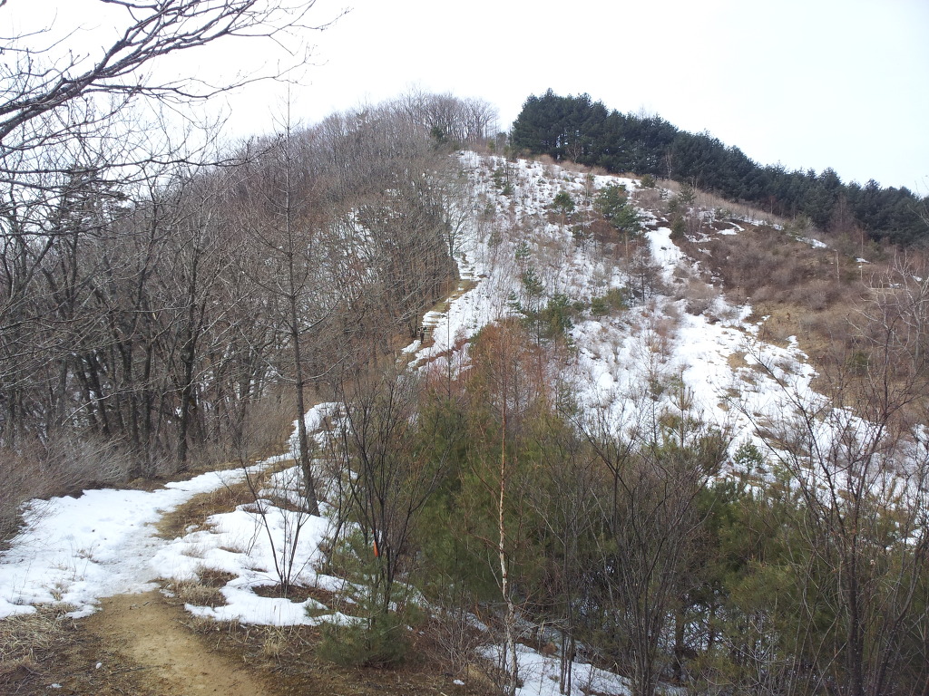 맹덕 이미지