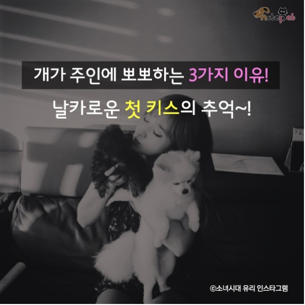 강아지가 뽀뽀 하는이유 | 인스티즈