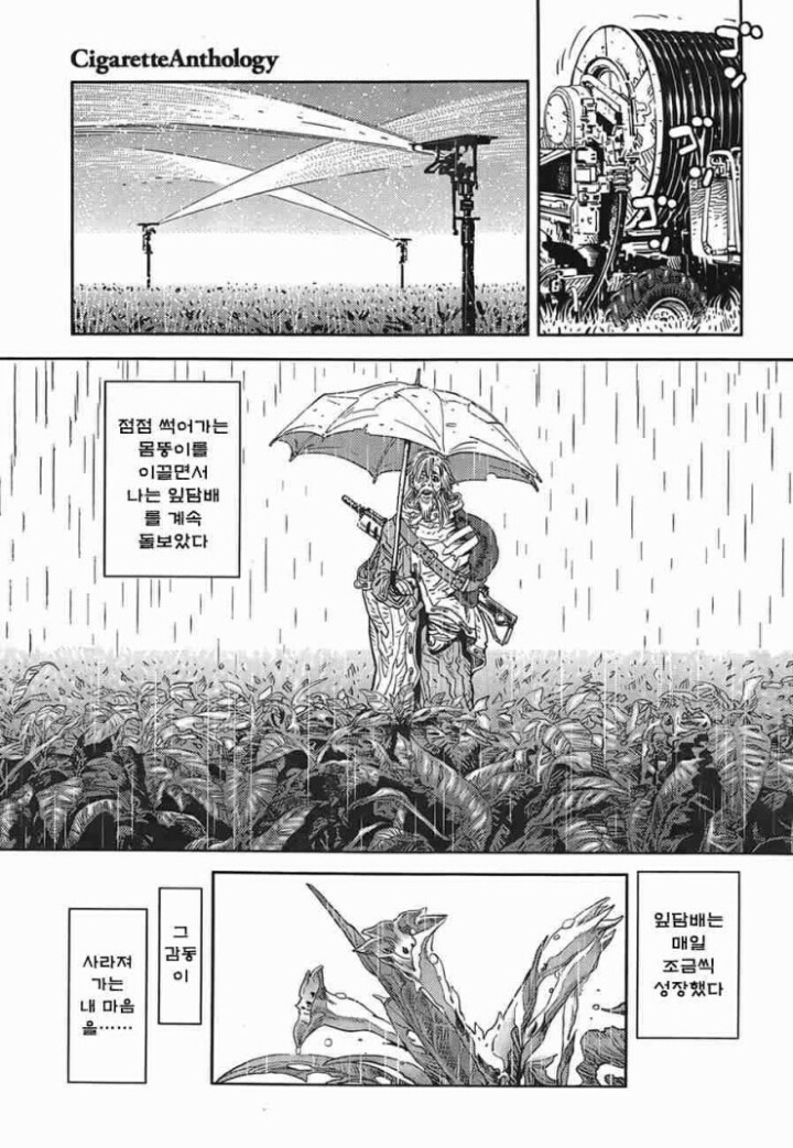 새해 금연 결심한 사람이 보면 안되는 만화.jpg | 인스티즈