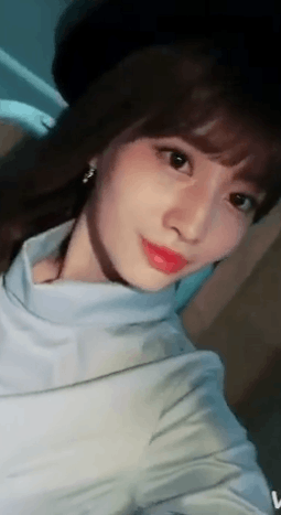 트와이스) 오늘 올라온 모모스타그램 | 인스티즈