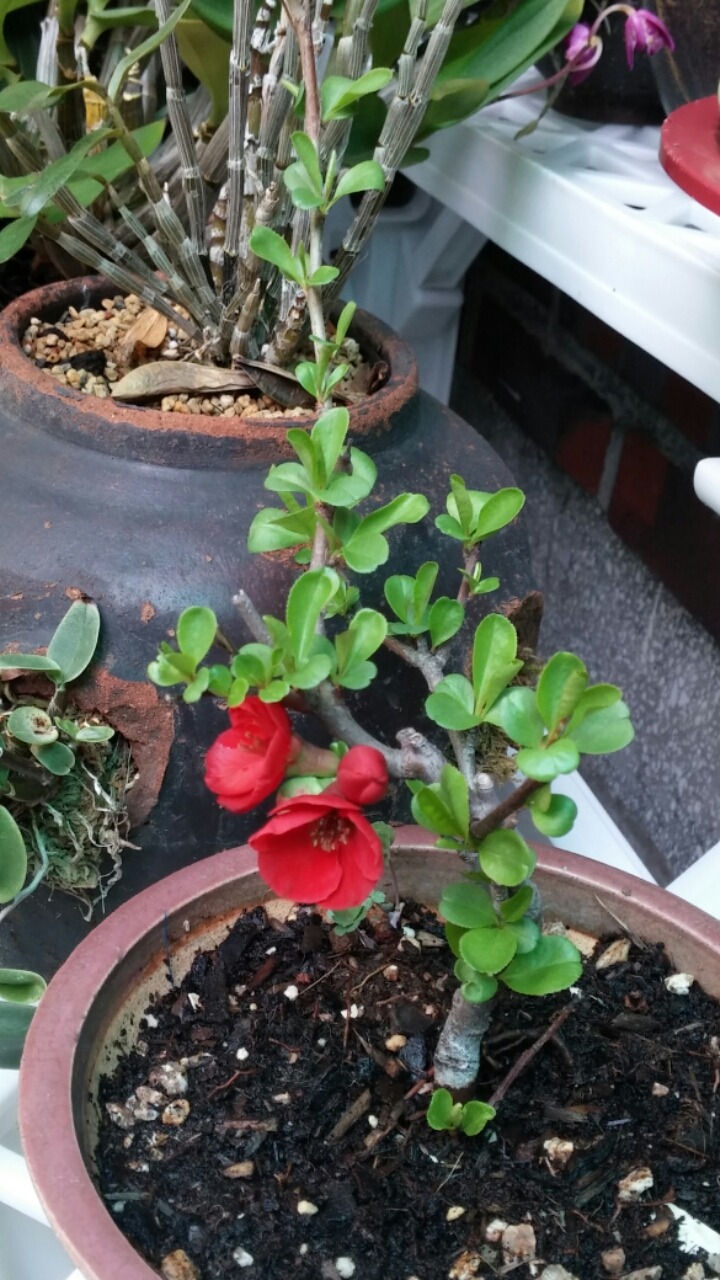 잔물결 이미지