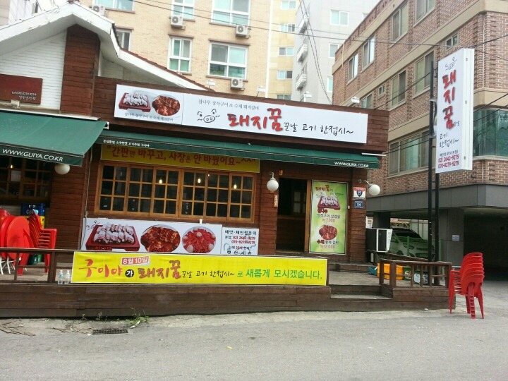 접시고기 이미지