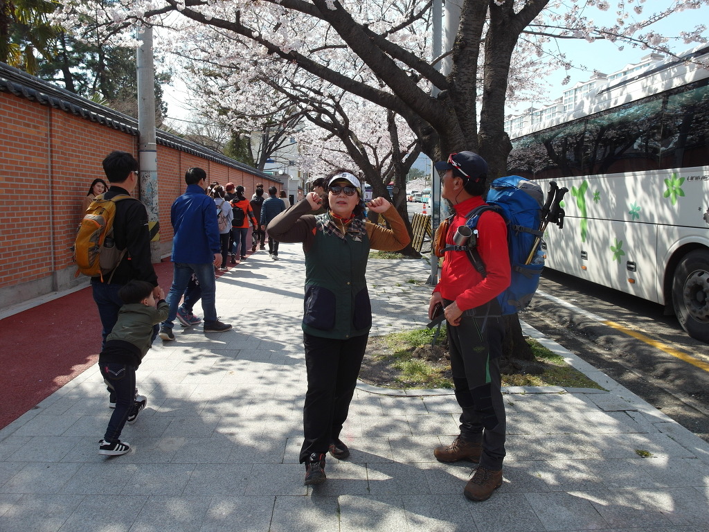 로망스 이미지