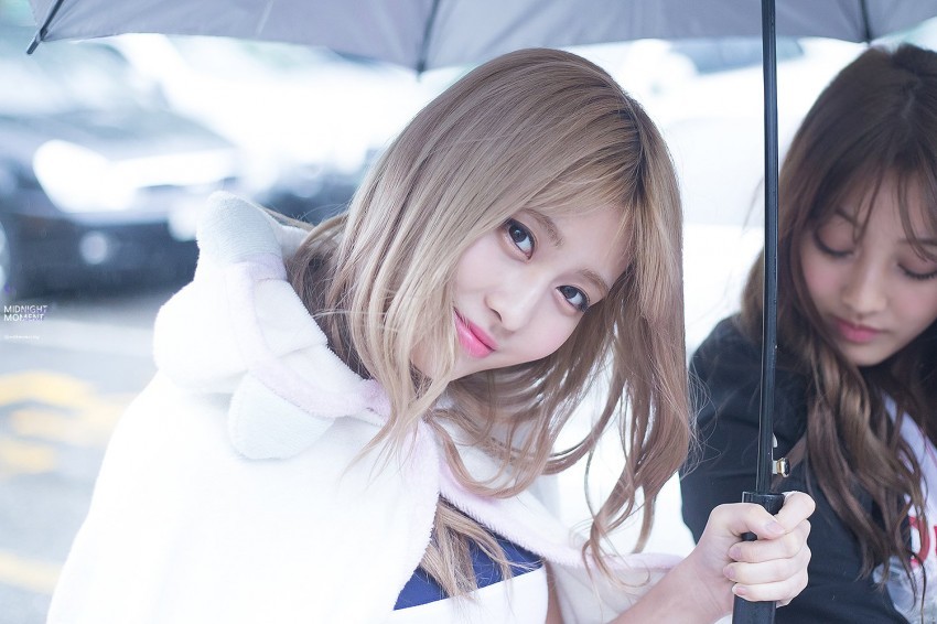 [트와이스] Z르지마 얼마 가Zl 않아 모구리 짤모음.jpg | 인스티즈