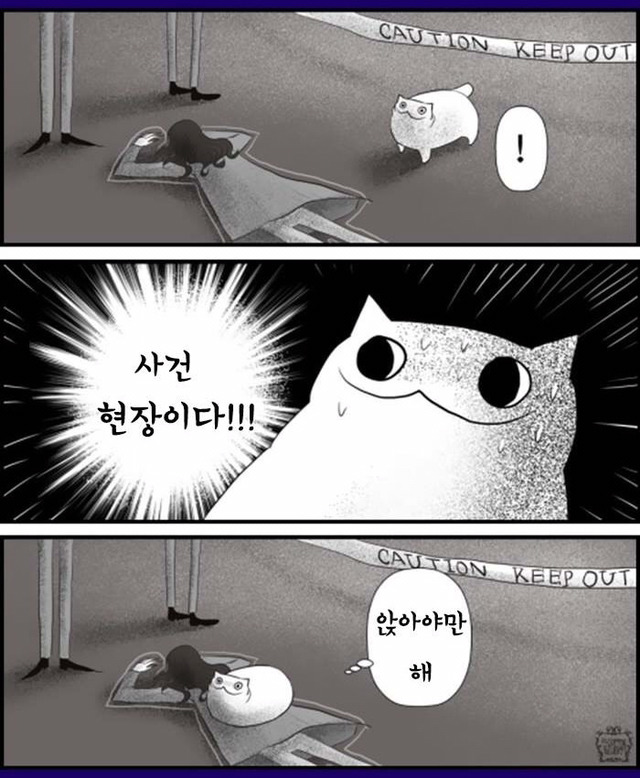 고양이 짤 | 인스티즈