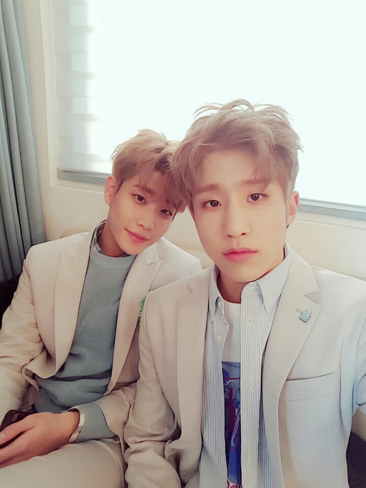 아로하 이미지