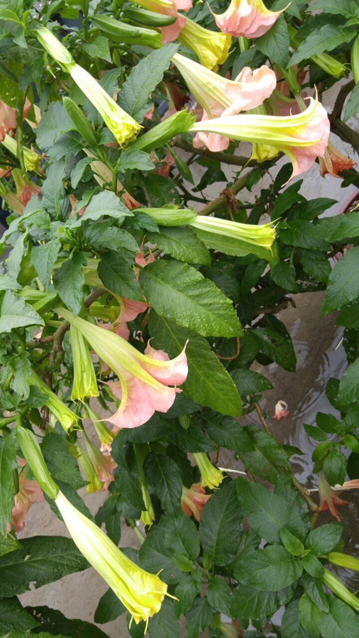 몽산포랑바다랑 이미지