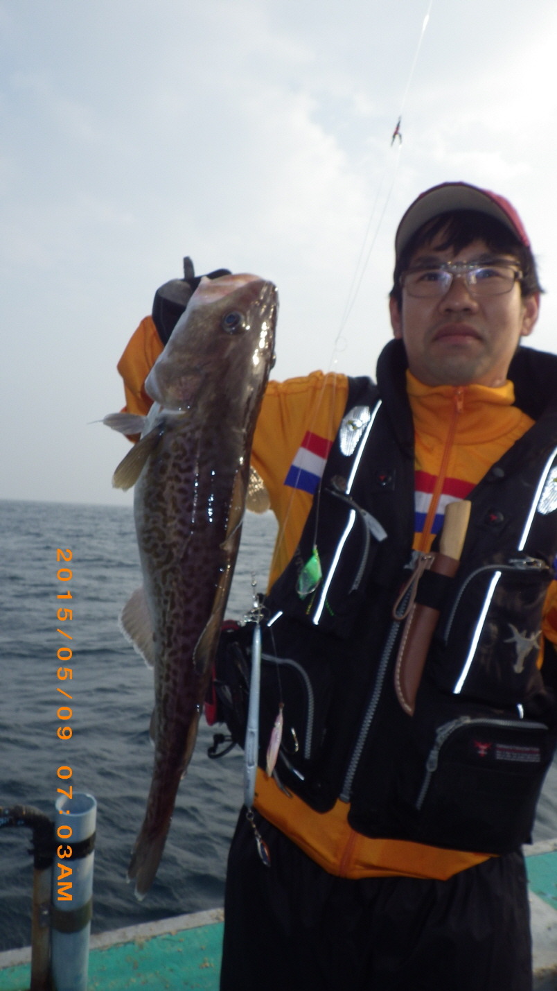 성복호 이미지