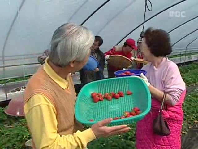 [거침없이하이킥] 봄바람 난 문희 | 인스티즈