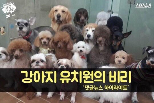 흥미돋는 강아지 유치원 궁물 (feat.전국 개교육의 실상) | 인스티즈