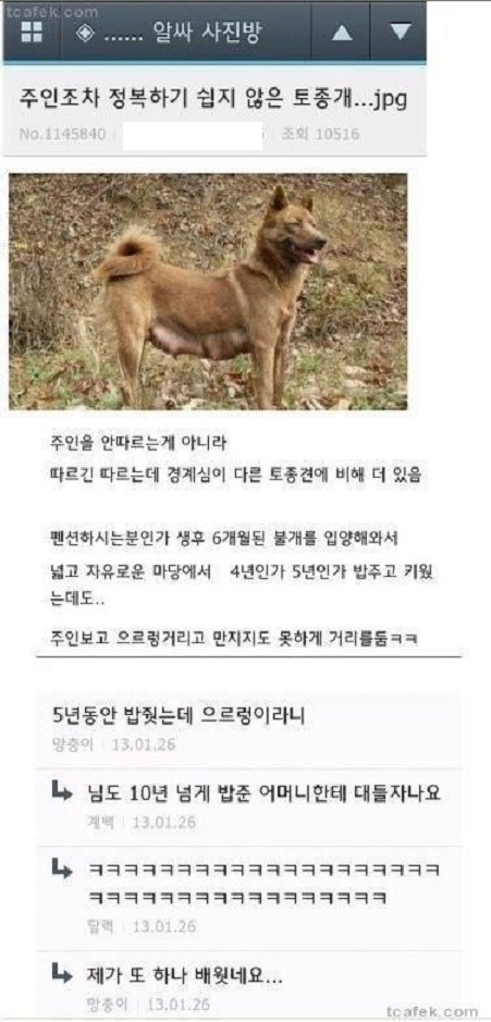엄니밥줘 이미지