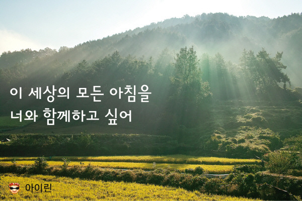 우유들이 사랑해 대신 전해줄 수 있는 그 한마디 | 인스티즈
