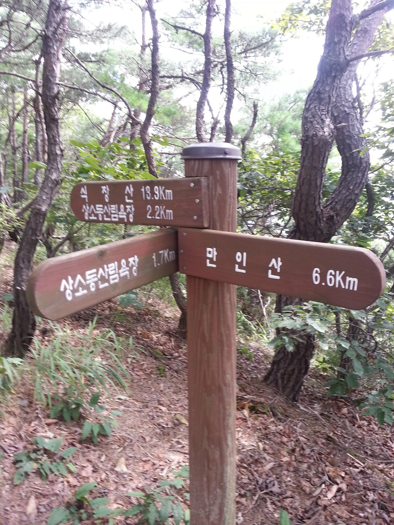 대전둘레길만인산 이미지
