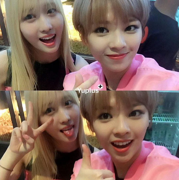 어제자 트와이스.gif | 인스티즈