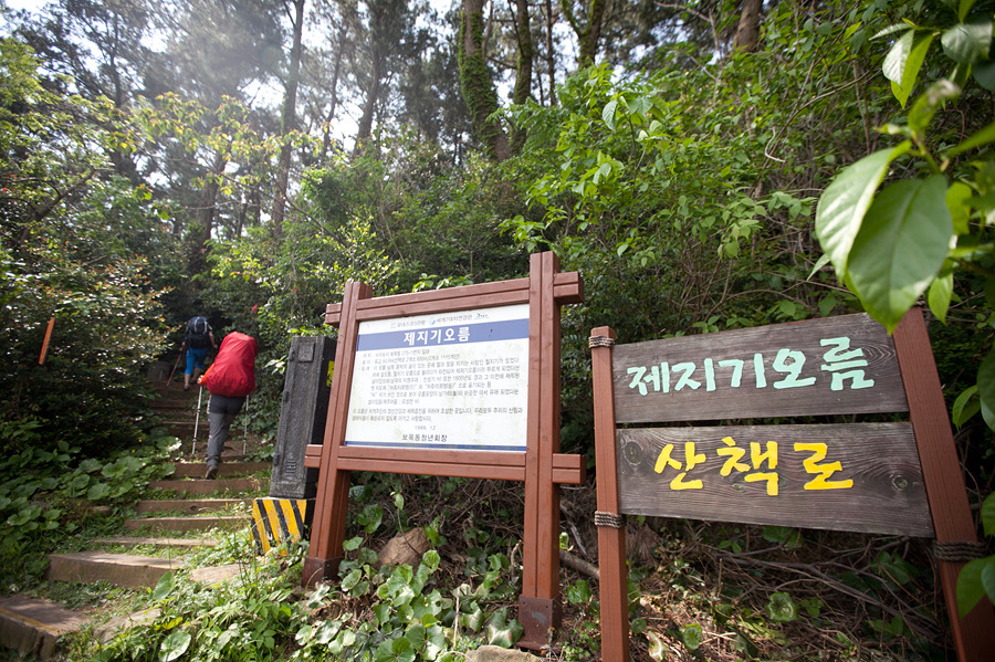 제주올레캠핑2 이미지
