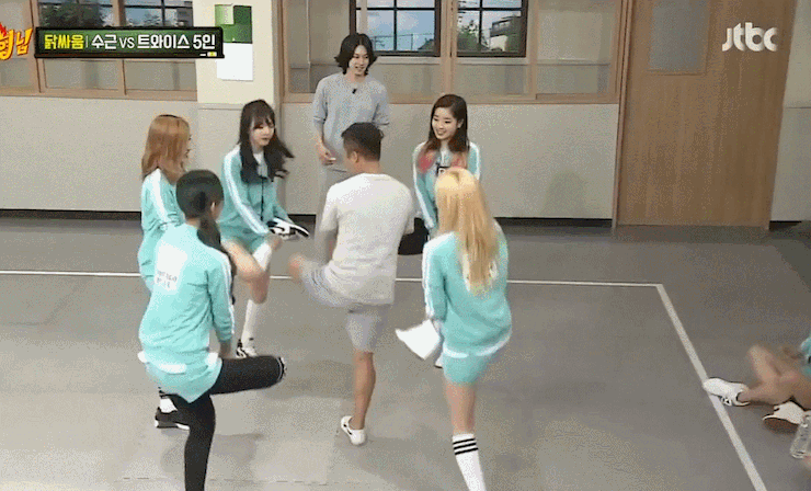 닭싸움 못하는 사나 | 인스티즈