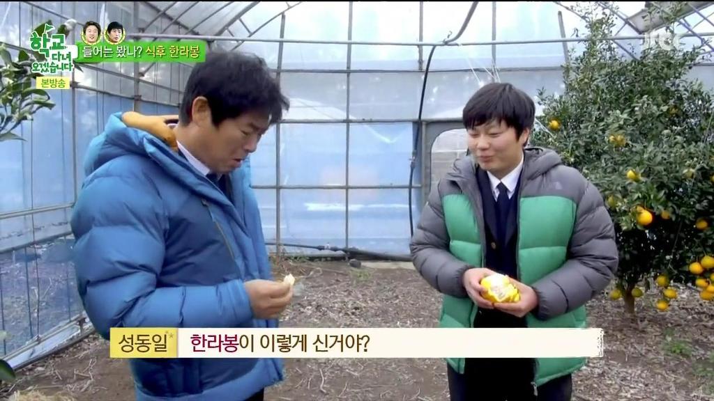 한라봉도 착하게 먹는 김희원 | 인스티즈