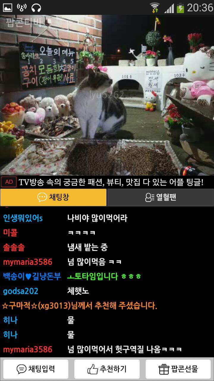 먹방의 진화 | 인스티즈