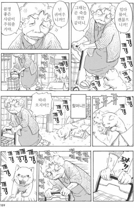 개를 주워 오면 안되는 이유 | 인스티즈