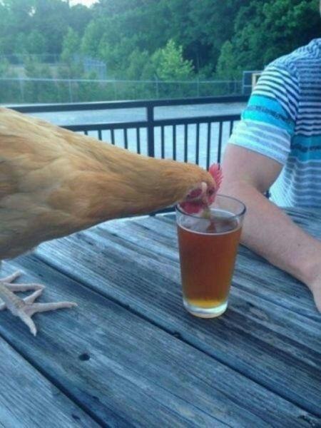 치맥한잔 이미지