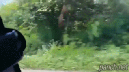 만렙찍은 라이더.gif | 인스티즈