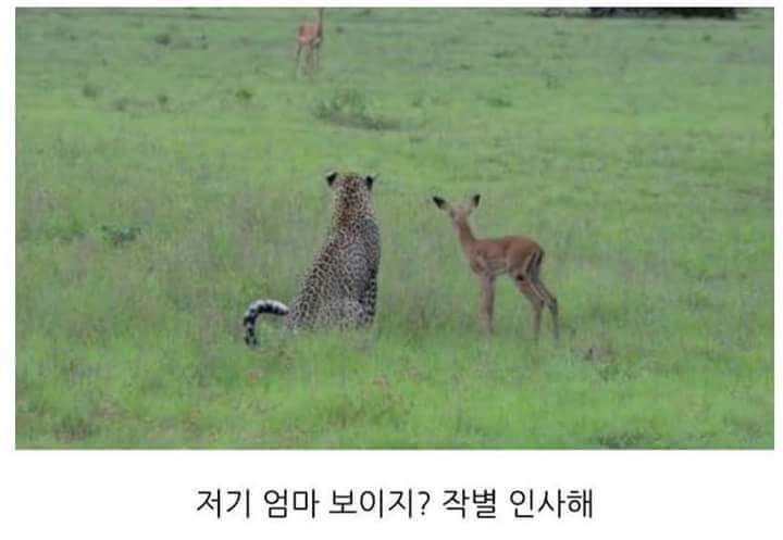 동심 이미지