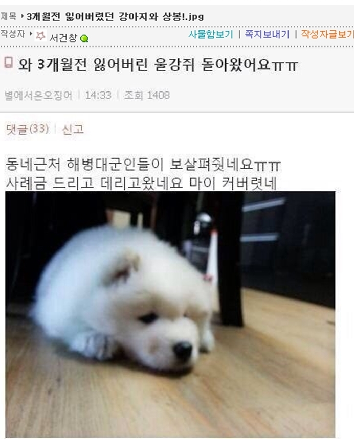 3개월 전 잃어버렸던 강아지와의 상봉 | 인스티즈