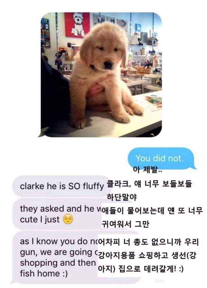 생선사온 아내 | 인스티즈