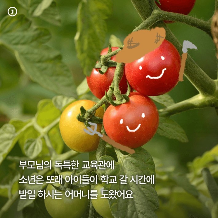 산골 소년 서울대에 가다 | 인스티즈
