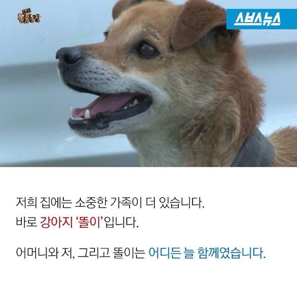먹자 이미지