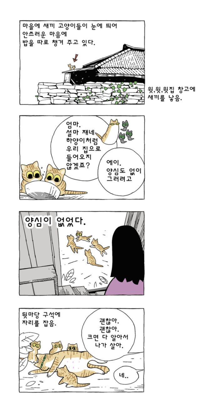 고양이 여덟마리와 살았다 | 인스티즈