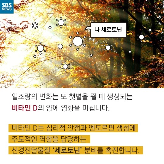 사람이 가을타는 이유 | 인스티즈