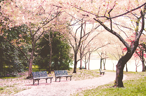 아무리 숨었어도 이 봄햇살은 반드시 너를 찾고야말걸 | 인스티즈