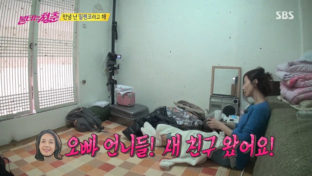 오늘자 불타는 청춘 게스트 | 인스티즈