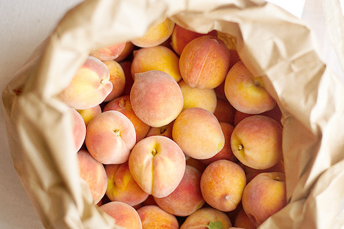  ﻿너를 만지고 싶다 | 인스티즈