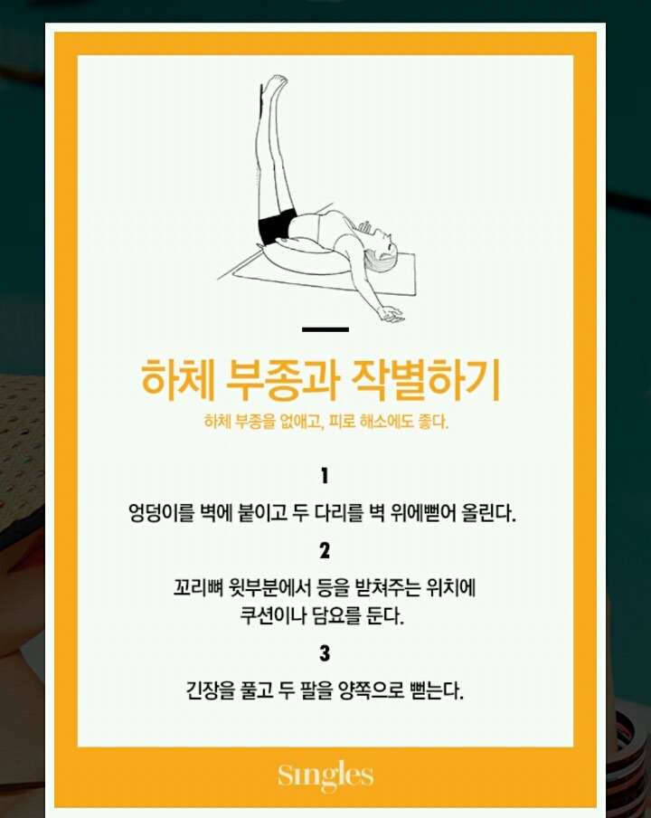 내가 모은 잡다한 정보들 데이터주의 | 인스티즈