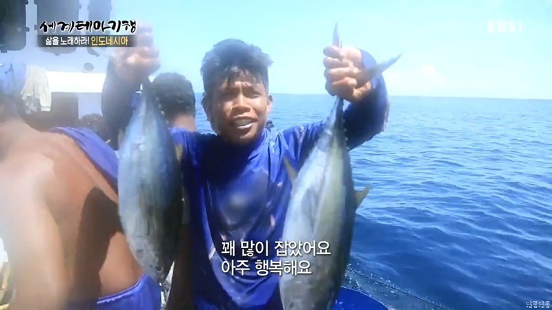 인도네시아의 참치 잡이 | 인스티즈