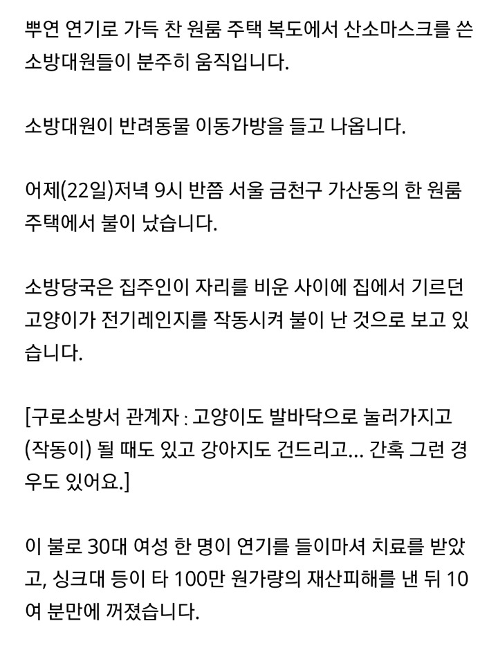 고양이가 전기레인지 작동..서울 주택서 화재 | 인스티즈