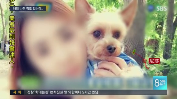 해외 간적도 없는데 대만에서 범죄자 취급당한 20대 한국여성.jpg (혈압주의) | 인스티즈