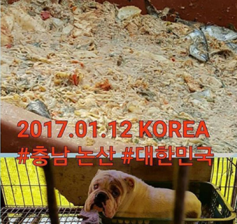 살아있을 때만이라도 깨끗한 물과 밥을 주는게 어렵나요? | 인스티즈
