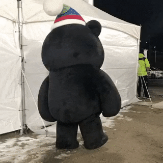 수호랑만 이뻐해서 시무룩한 반다비.gif | 인스티즈
