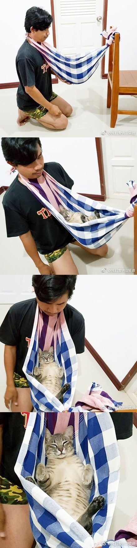 진정한 집사의 자세.jpg | 인스티즈